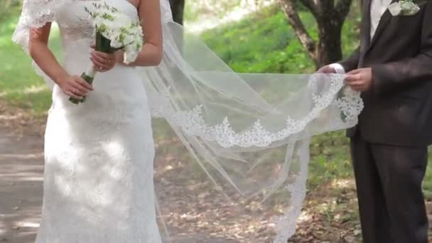Bride and groom on their wedding. - Footage, Video