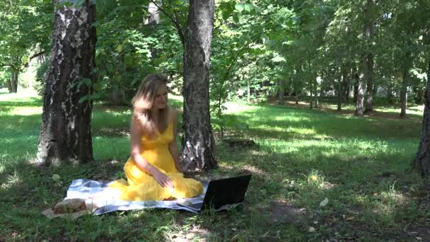 chica sentarse en el parque a cuadros y la correspondencia Skype con un amigo. 4K
 - Imágenes, Vídeo