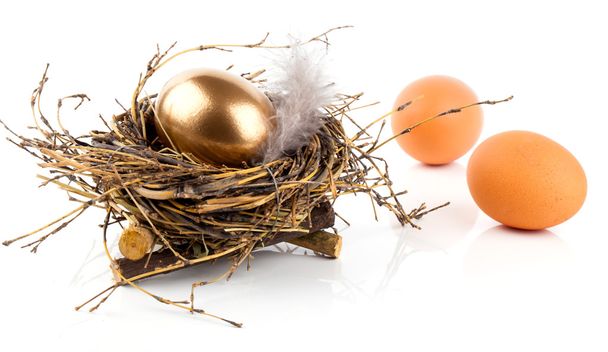 Golden egg in nest on white background - Zdjęcie, obraz