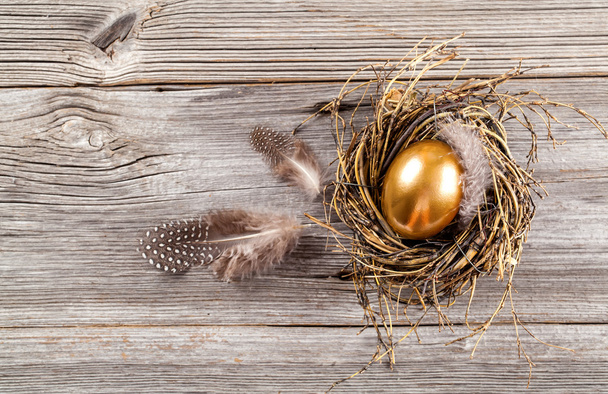 Golden egg in nest on dark vintage wooden background - 写真・画像