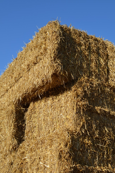 Traditional stacked hay bales. - Photo, Image