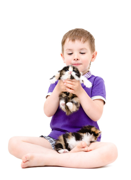 Happy boy playing with kittens - Photo, image