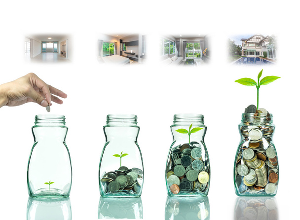 Πράσινο φυτό αυξάνεται στα κέρματα χρήματα κάτω από το παγκόσμιο χάρτη υπόβαθρο, των επιχειρήσεων και των επενδύσεων έννοια - Φωτογραφία, εικόνα