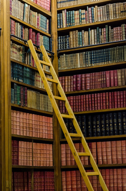 Dřevěný žebřík v knihovně staré - Fotografie, Obrázek