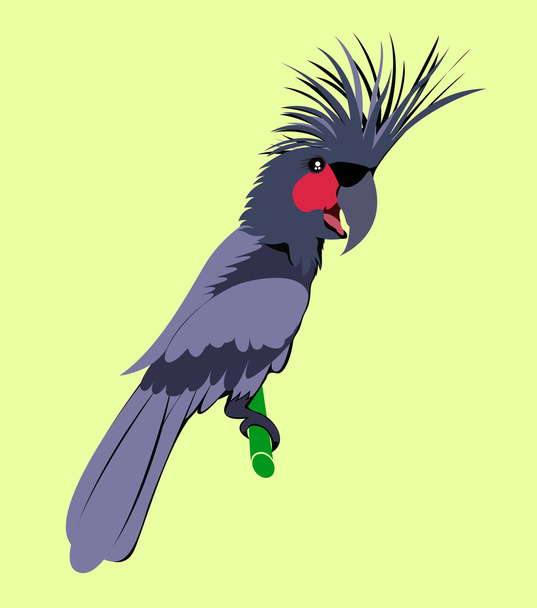 Cartoon animal ,Cockatoo , - Vector, Image