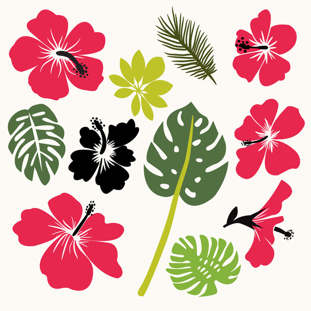 Set of tropical leaves and flowers  - Vector, Imagen
