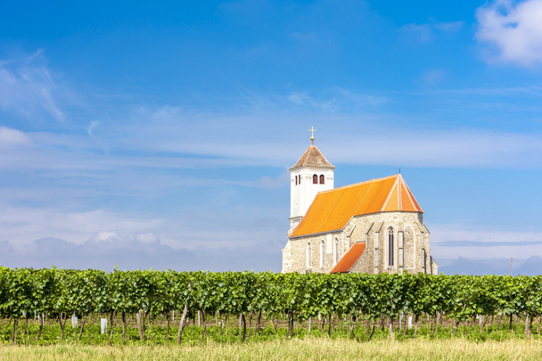 church with vineyard, Kirchenberg, Lower Austria - Photo, Image