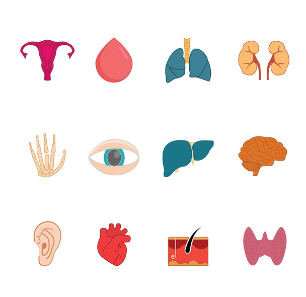 Иконки векторов органов человека. Чистый, современный набор иконок анатомии
 - Вектор,изображение