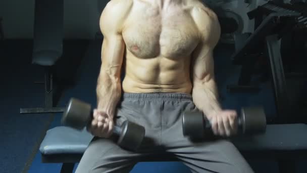 Torso muscular e mãos com halteres de homem exercitando no ginásio
 - Filmagem, Vídeo