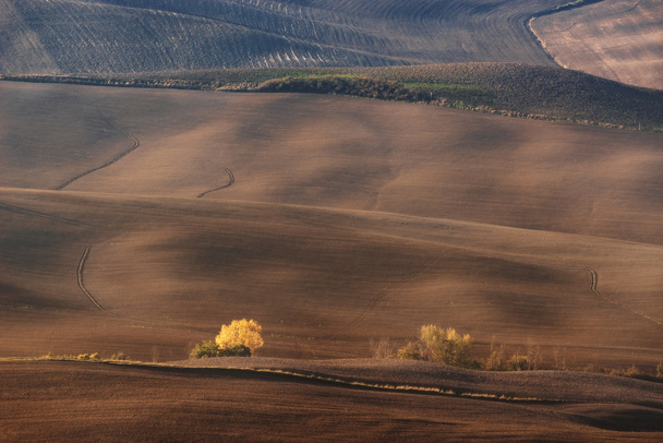 Toskania - panorama pejzaż, wzgórza i łąka, Toskania - Włochy - Zdjęcie, obraz