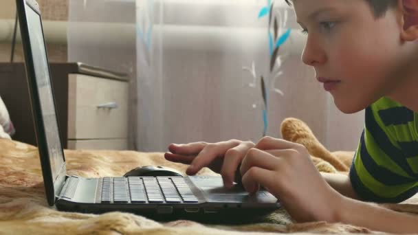 ノート パソコンをやっている少年のインターネットの閲覧 - 映像、動画