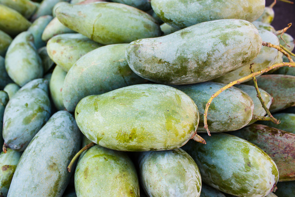 Mangifera indica, fresh mangos. - Photo, Image