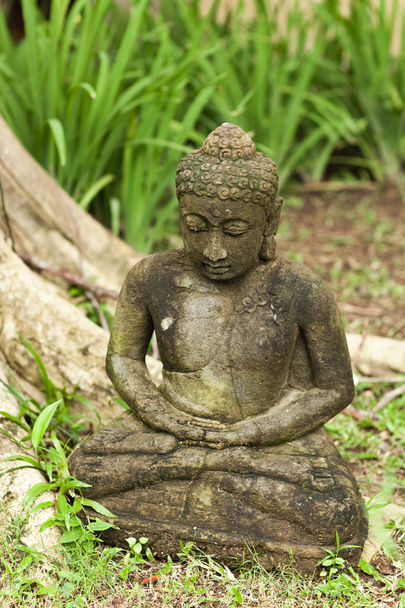 Old Buddha statue meditating on background of green leaves. - Foto, Bild