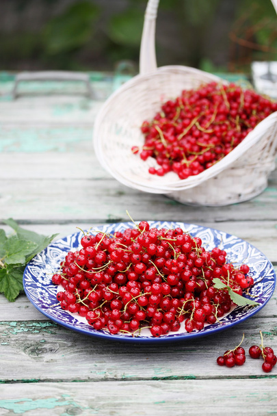 organic red currants on the plate - Photo, Image