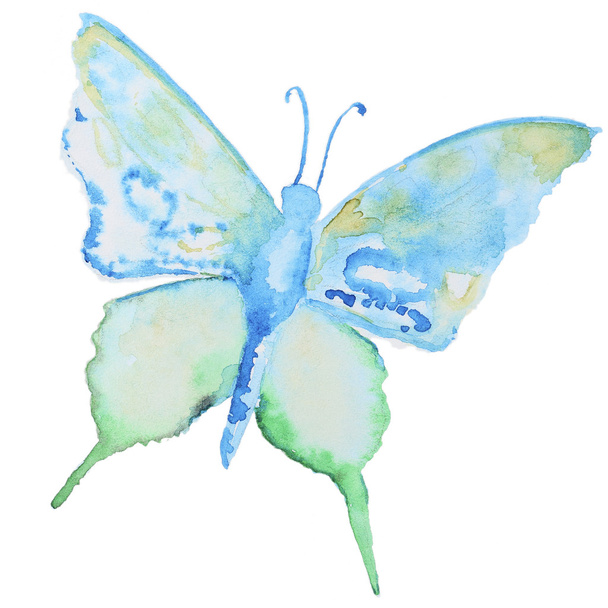 Watercolor butterfly on white - Fotoğraf, Görsel