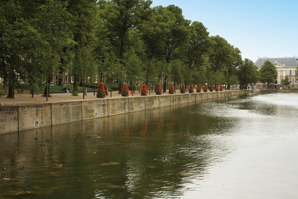 Parco attraverso il Ridderzaal a Binnenhof con il lago Hofvijver
. - Foto, immagini