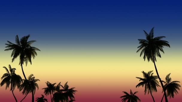 Palmy pláže a moře - Záběry, video