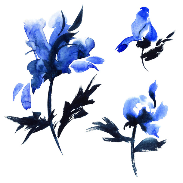 Blue flowers illustration - Valokuva, kuva