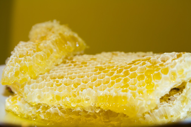 Bee honeycomb with honey - Valokuva, kuva
