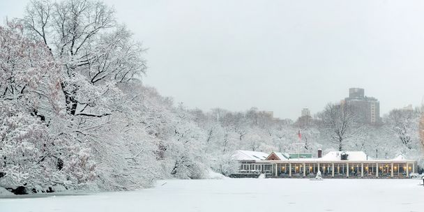 Central Park hiver
 - Photo, image