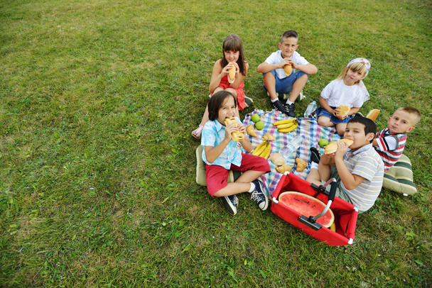 Children having picnic on meadow - Fotografie, Obrázek
