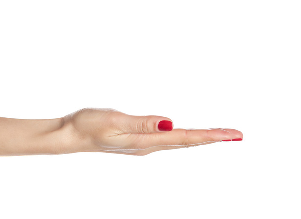 Female hand palm up. - Foto, Imagem