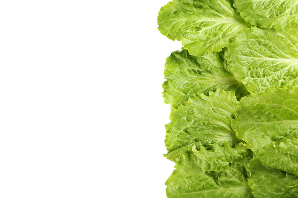 Fresh salad lettuce - Zdjęcie, obraz