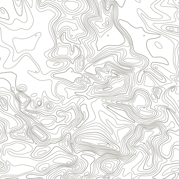 Topographic map on white background - Vector, Image