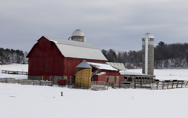 Gospodarstwo rodzinne z czerwonej stodole w tle śnieżnej zimie - Zdjęcie, obraz