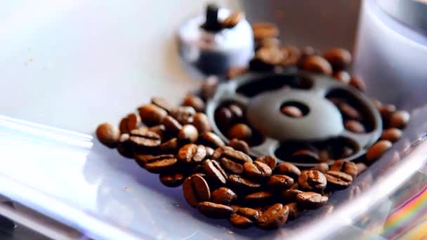 Coffee machine grinds the beans - Footage, Video