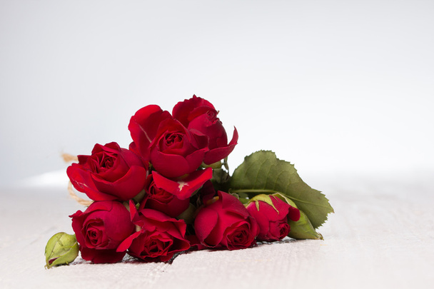 φρέσκο κόκκινο τριαντάφυλλο - Φωτογραφία, εικόνα