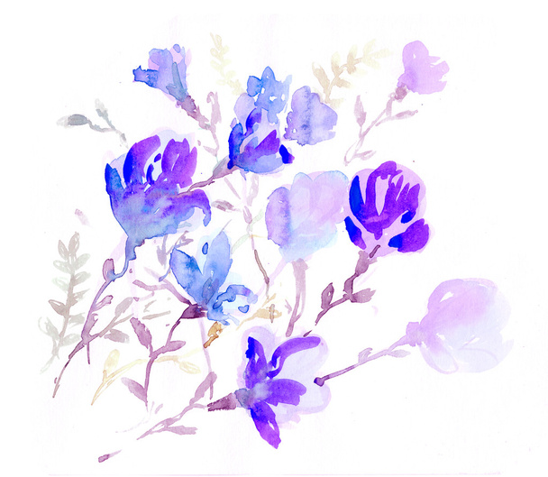 acquerelli fiori colorati
 - Foto, immagini