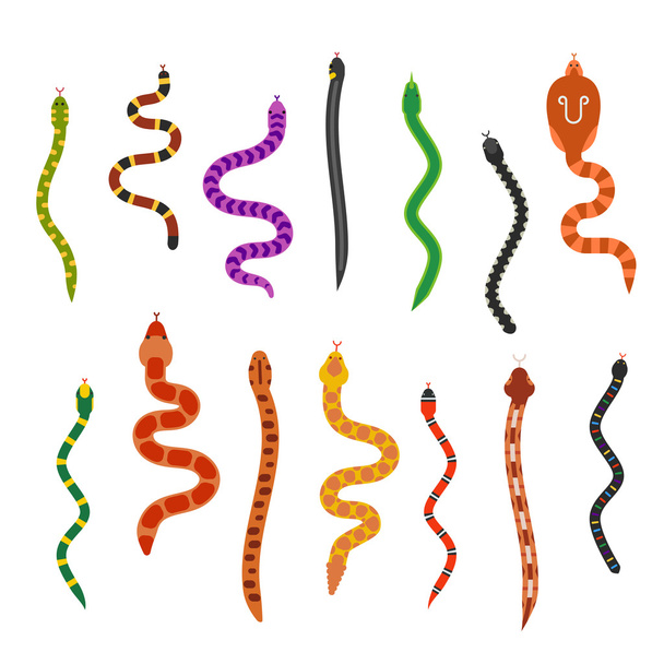 Επίπεδη διανυσματικά φίδια συλλογή που απομονώνονται σε λευκό φόντο - Διάνυσμα, εικόνα