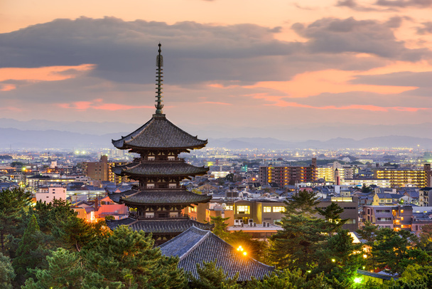 Nara Japonsko Panorama - Fotografie, Obrázek