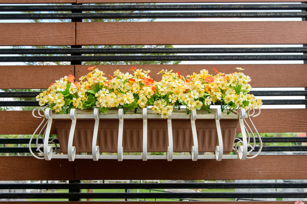 balcón caja de flores llena de macetas
 - Foto, imagen