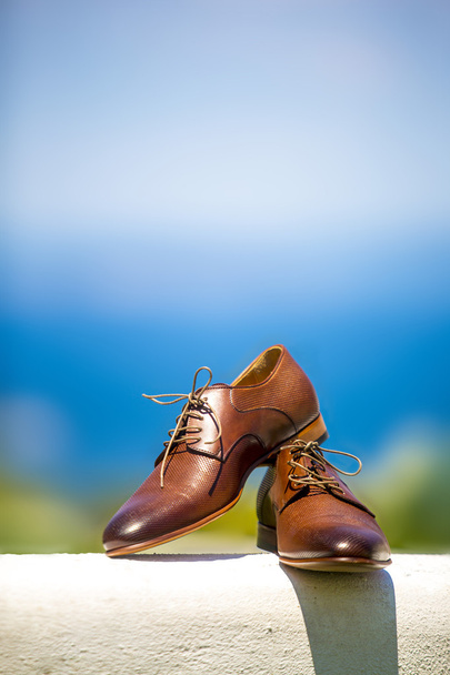 A pair of brown leather  wedding shoes outdoor - Fotó, kép