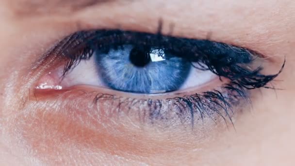 blauw oog close-up portret - Video