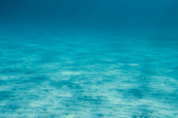 Океанського дна під водою
 - Фото, зображення