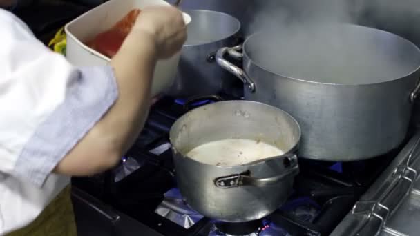 chef met la sauce tomate dans la casserole à ébullition
 - Séquence, vidéo