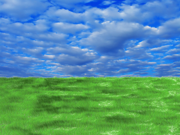 Hierba verde fresca sobre fondo azul del cielo soleado
 - Foto, Imagen