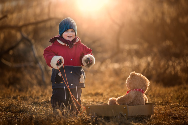 Šťastný chlapec hraje venkovní s jeho medvídka a vozík - Fotografie, Obrázek