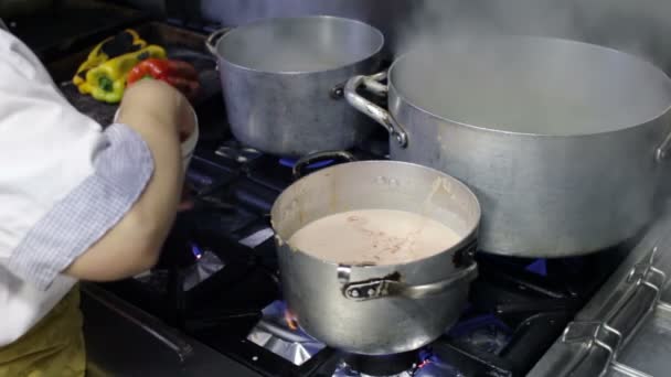 chef du restaurant à la cuisinière met du sel dans la casserole
 - Séquence, vidéo
