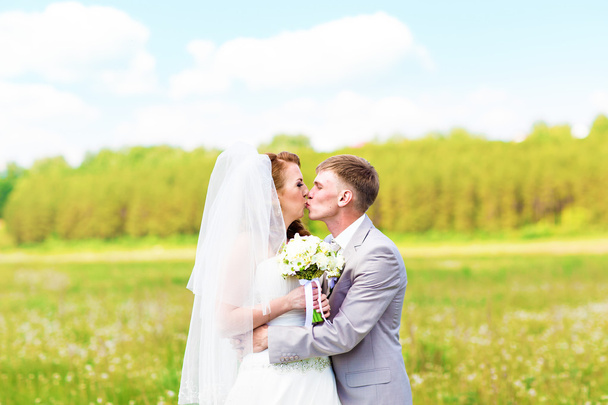 krásné svatební pár v parku. políbit a obejmout sebe - Fotografie, Obrázek