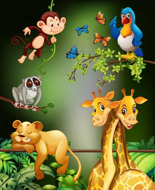 Wild animals living in the forest - Vector, Image