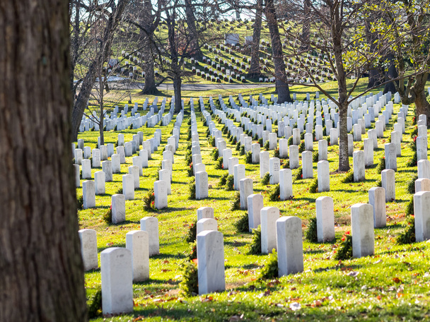 El cementerio de Arlington
 - Foto, Imagen