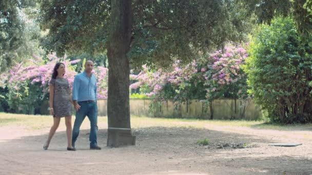 couple in love walking in the park, kissing and hugging - Imágenes, Vídeo