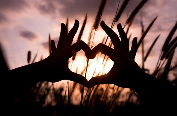 mains en forme de coeur d'amour sur fond de fleurs d'herbe
 - Photo, image