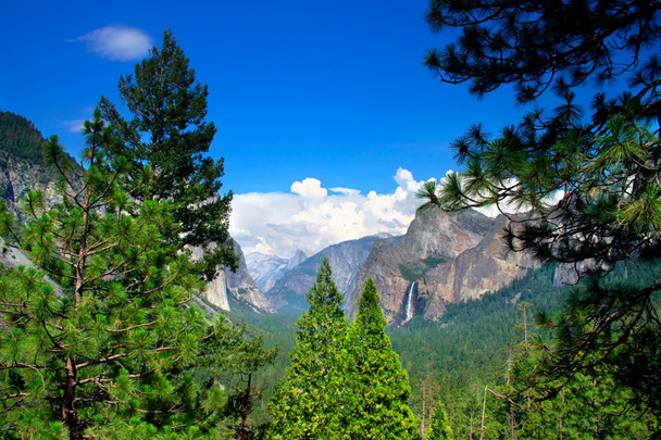 Vista do Túnel, Parque Nacional de Yosemite
 - Foto, Imagem