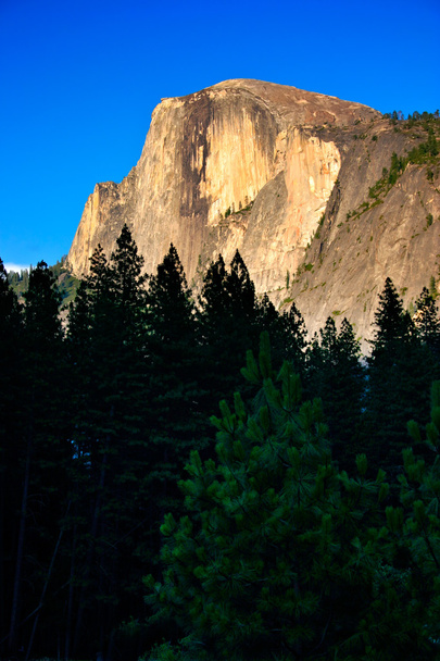Half Dome, Yosemite-Nationalpark - Foto, Bild