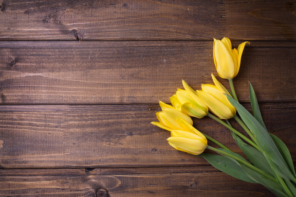 Yellow tulips flowers - Фото, зображення